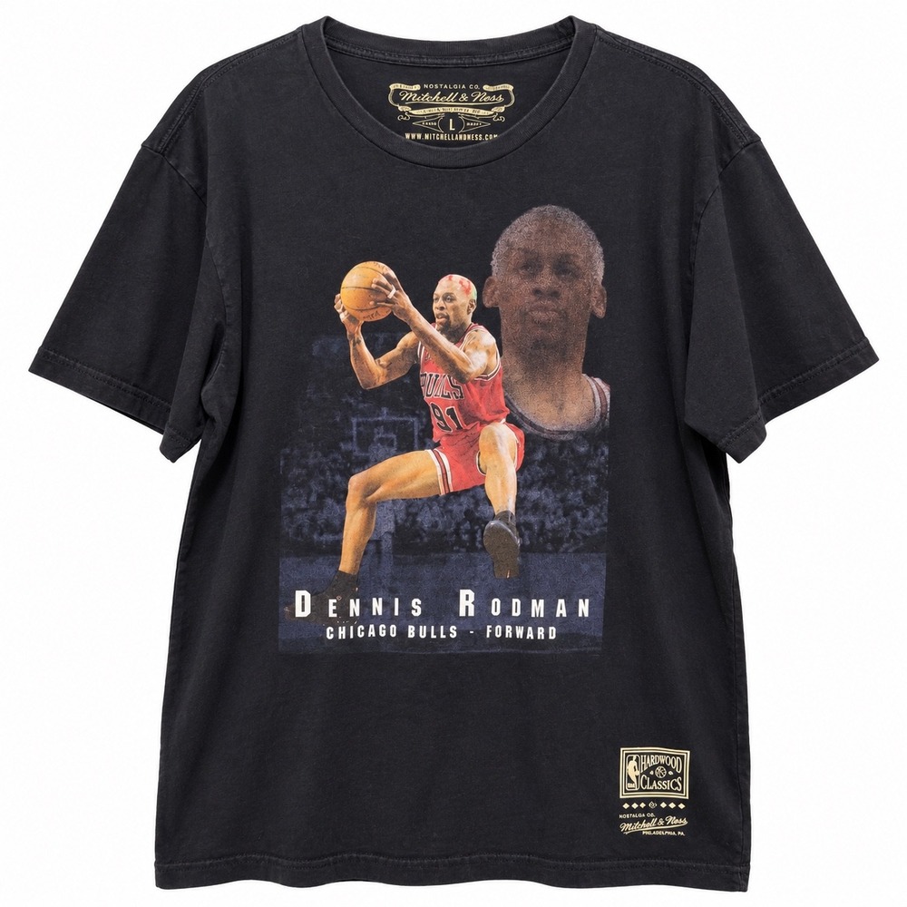 Mitchell & Ness Dennis Rodman Chicago Bulls Stats Graphic T-Shirt Black Large